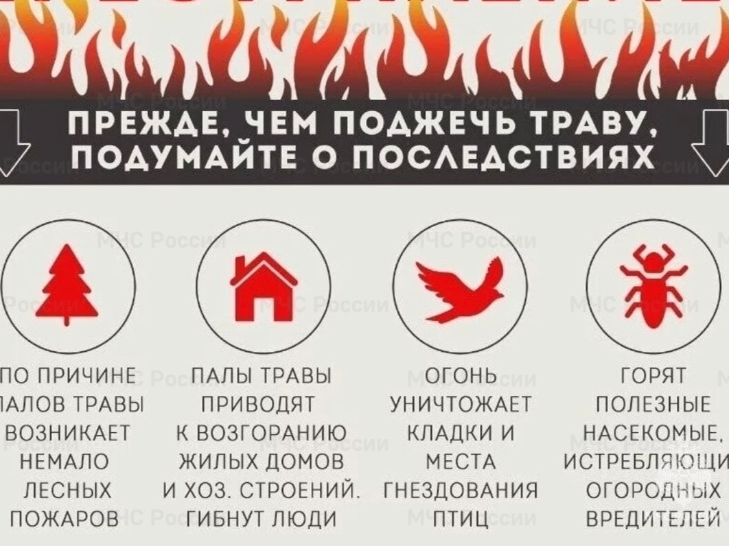 Пал сухой травы- это не шалость, а преступление!.
