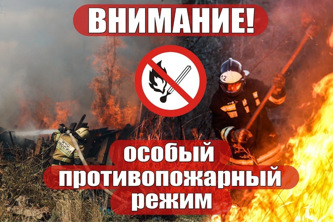 Правила пожарной безопасности в летний пожароопасный период.
