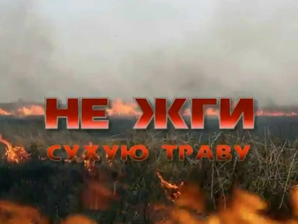 НЕ ЖГИ СУХУЮ ТРАВУ!.