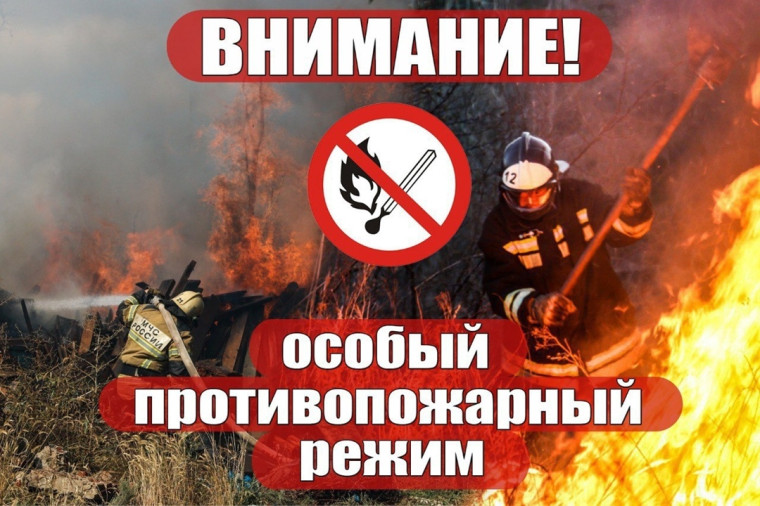 Правила пожарной безопасности в летний пожароопасный период. Правила пожарной безопасности в летний пожароопасный период.